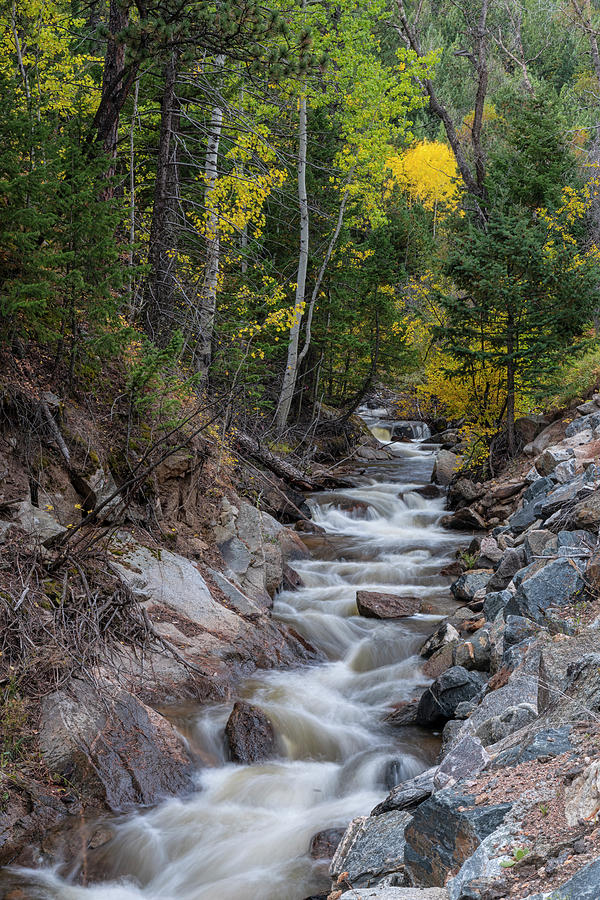Seasons Photograph - Left Hand Up Stream by James BO Insogna