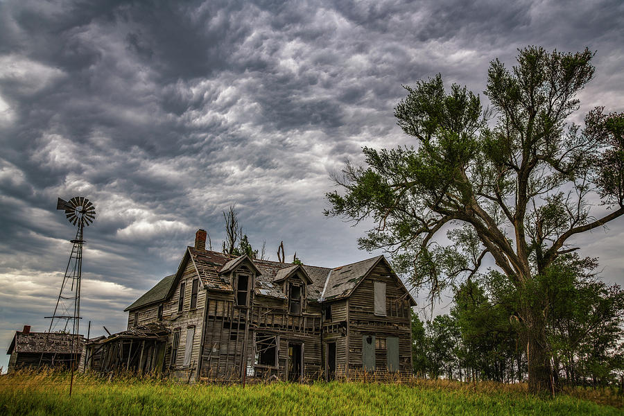 Left to Rot by Darren White Left to Rot by Darren White