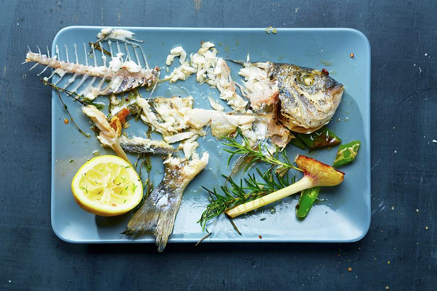Leftover Food And The Skeleton Of A Gilt-head Bream On A Serving Try Photograph by Frank Weymann