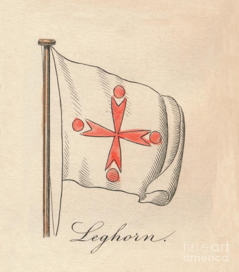 Leghorn, 1838 Drawing by Print Collector