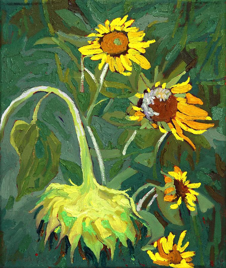 Legion of Sunflowers Painting by Phil Chadwick | Fine Art America