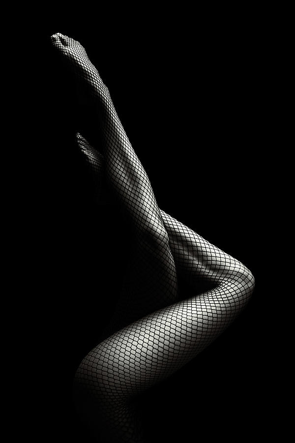 Woman Photograph - Legs in Fishnet Stockings 1 by Johan Swanepoel