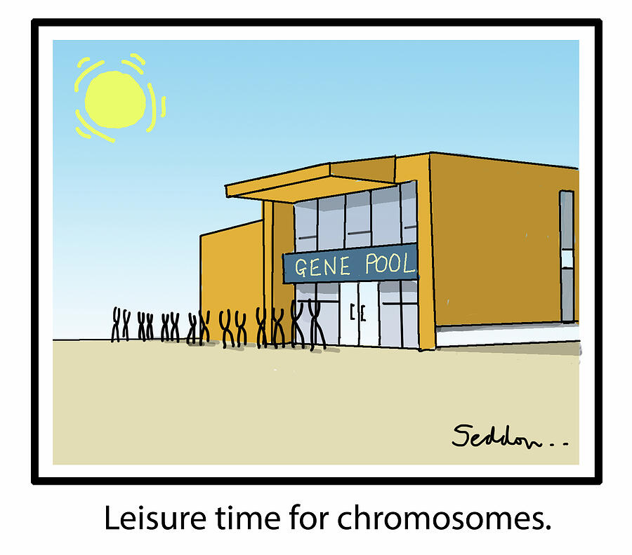 Leisure Time For Chromosomes Drawing by Mike Seddon Leisure Time For Chromosomes Drawing by Mike Seddon