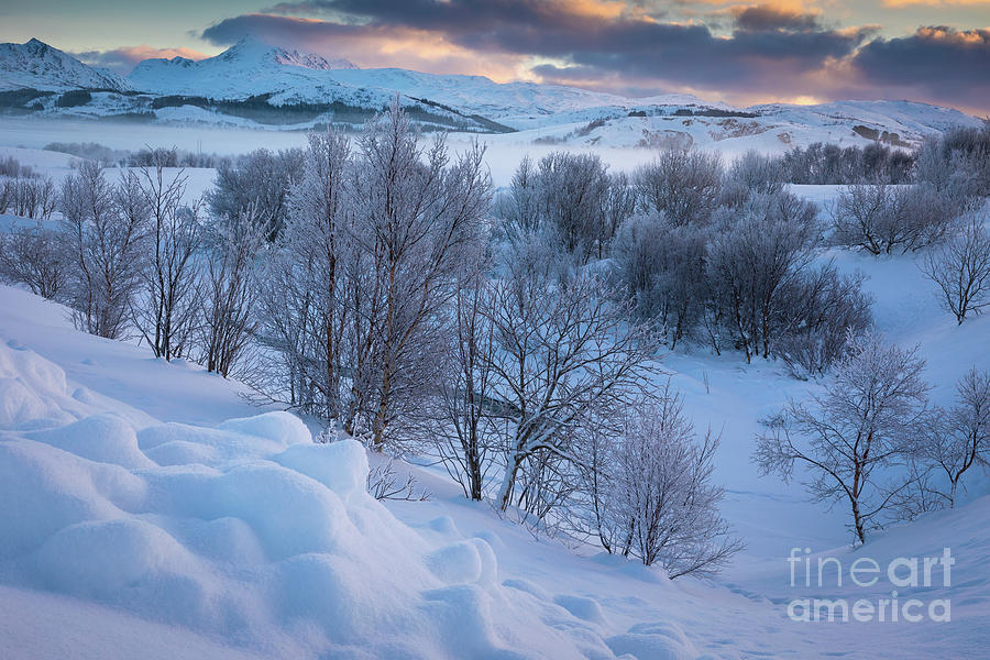 Leknes Frozen Landscape Photograph by Inge Johnsson
