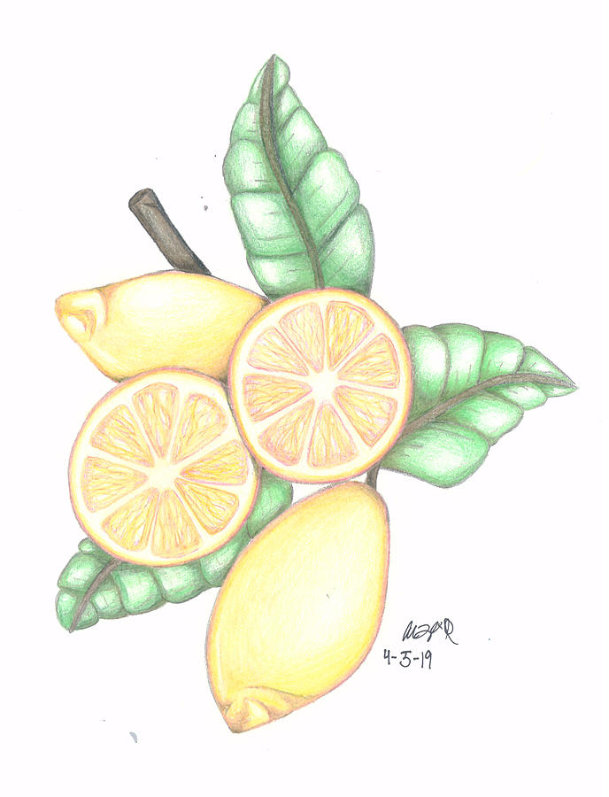  Lemon Drawing by Alison Powell