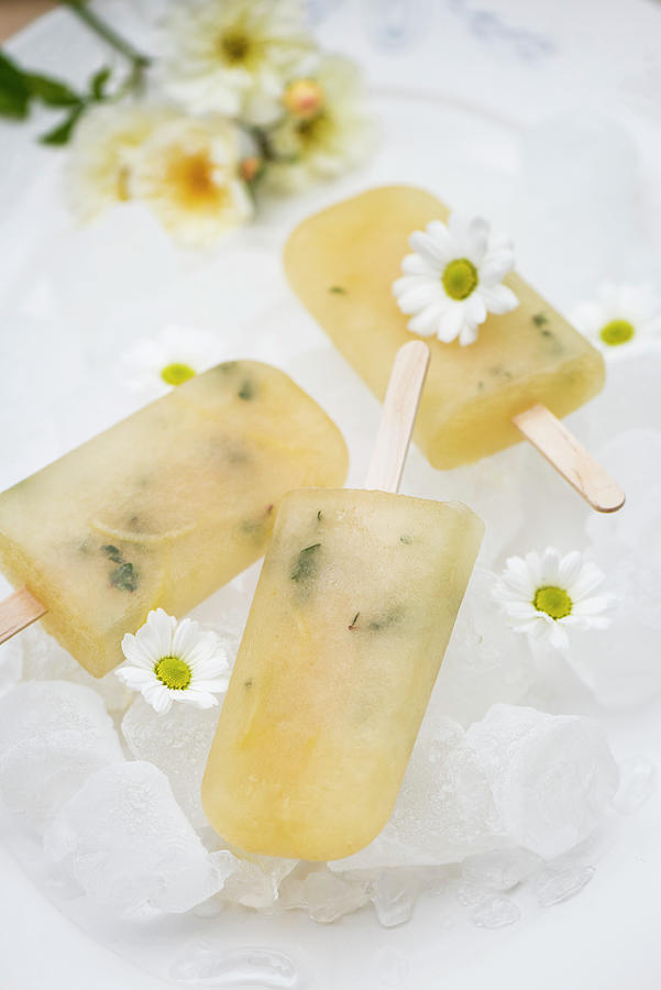 Lemon And Honey Ice Lollies Photograph by Winfried Heinze