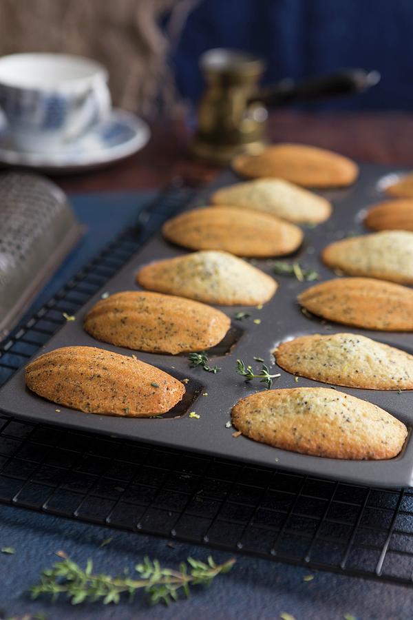 Lemon And Thyme Madeleines In A Madeleine Tin Photograph by Aniko ...