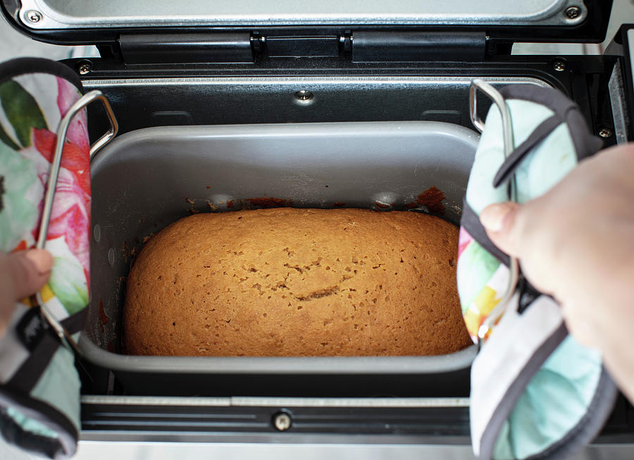 Lemon Cake Baked In A Bread Maker Photograph by Yelena Strokin