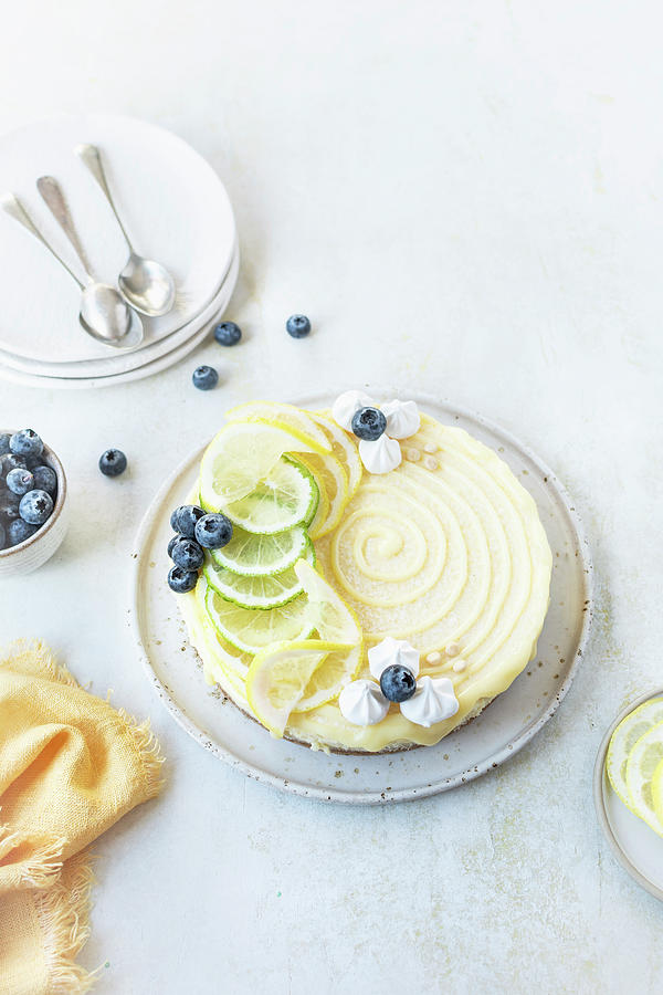 Lemon Cheesecake Photograph by Olimpia Davies