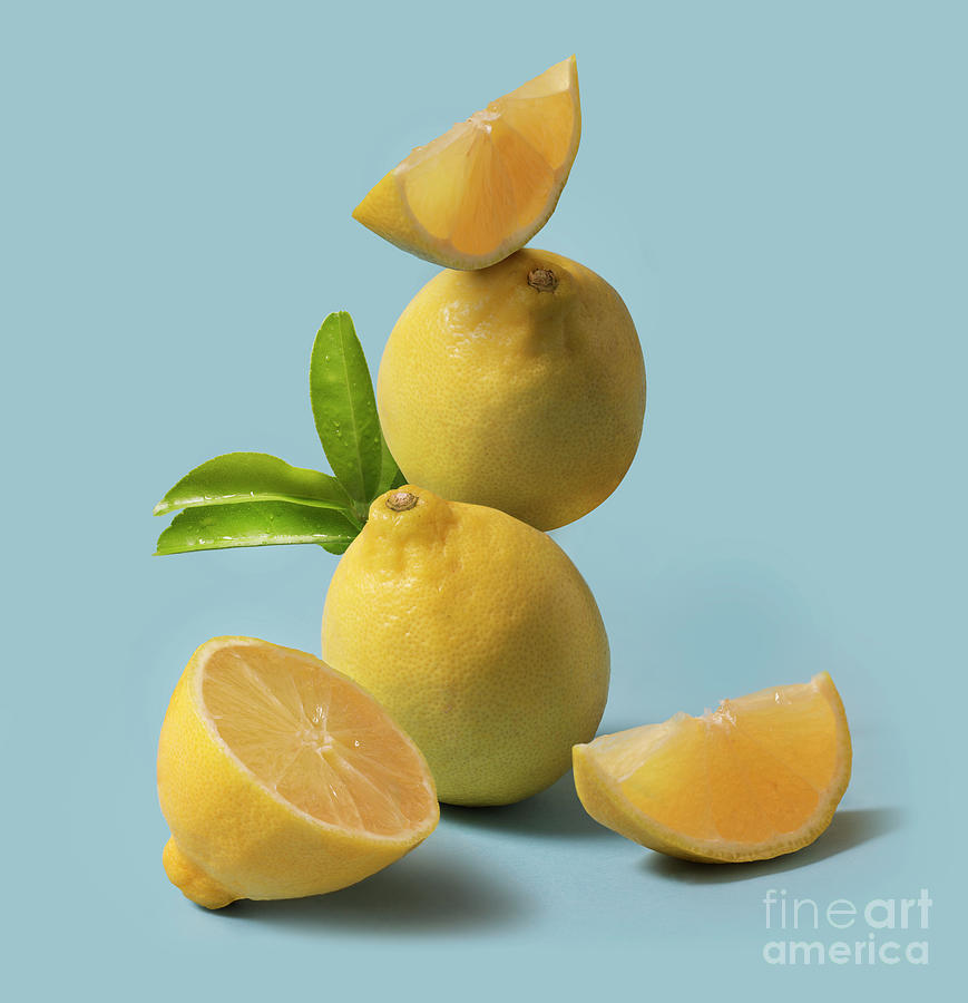 Lemon Fruit Still Life Photograph by Twomeows