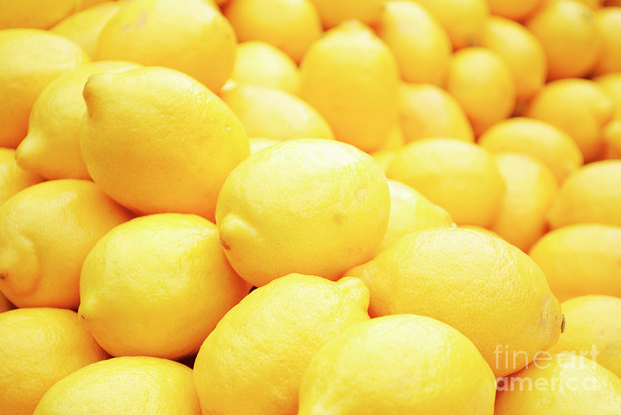 Lemon Photograph by Jelena Jovanovic