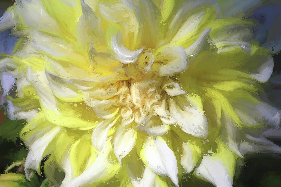 Lemon Meringue Photograph by Donna Kennedy