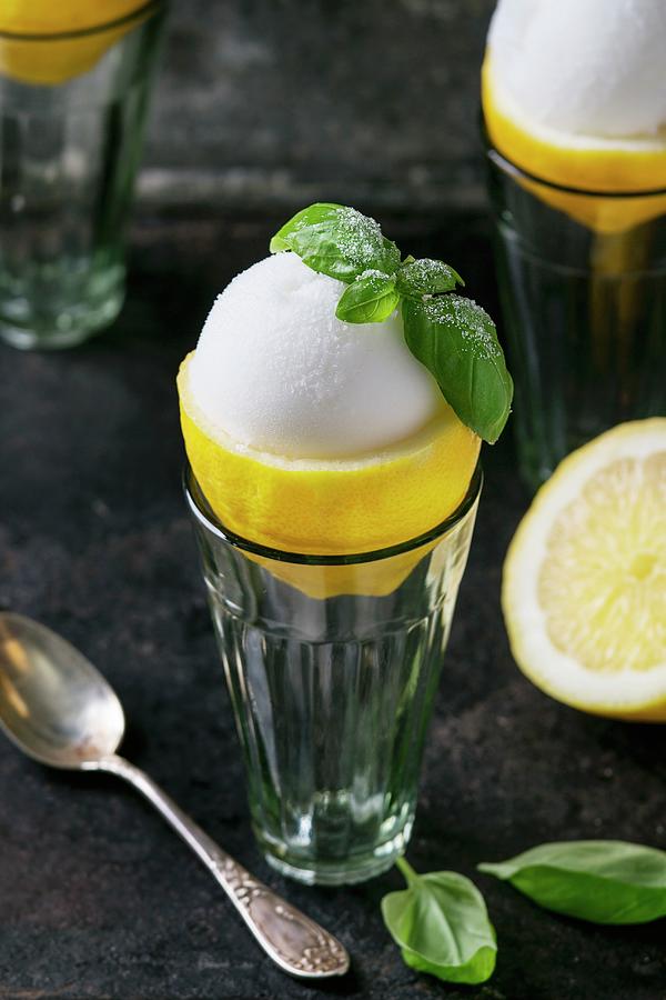 Lemon Sorbet Served In Apollo About Lemon Garnished With Sugared Basil Leaves Photograph by Natasha Breen