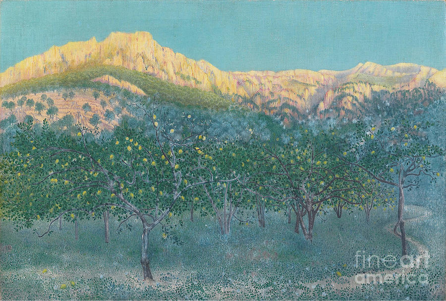 Lemon Trees Drawing by Heritage Images