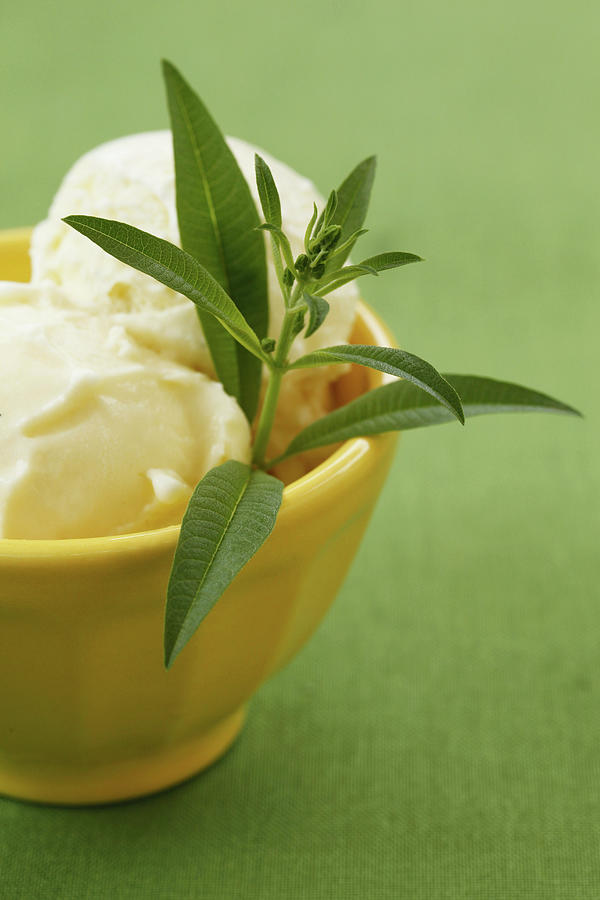 Lemon Verbena Ice Cream Photograph by Emily Brooke Sandor