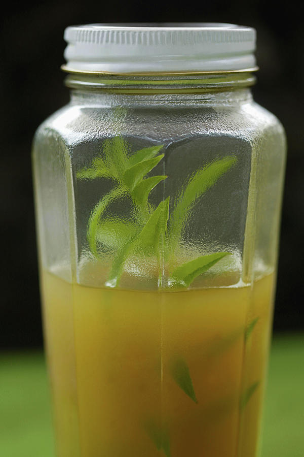 Lemon Verbena Simple Syrup Photograph by Emily Brooke Sandor - Fine Art ...