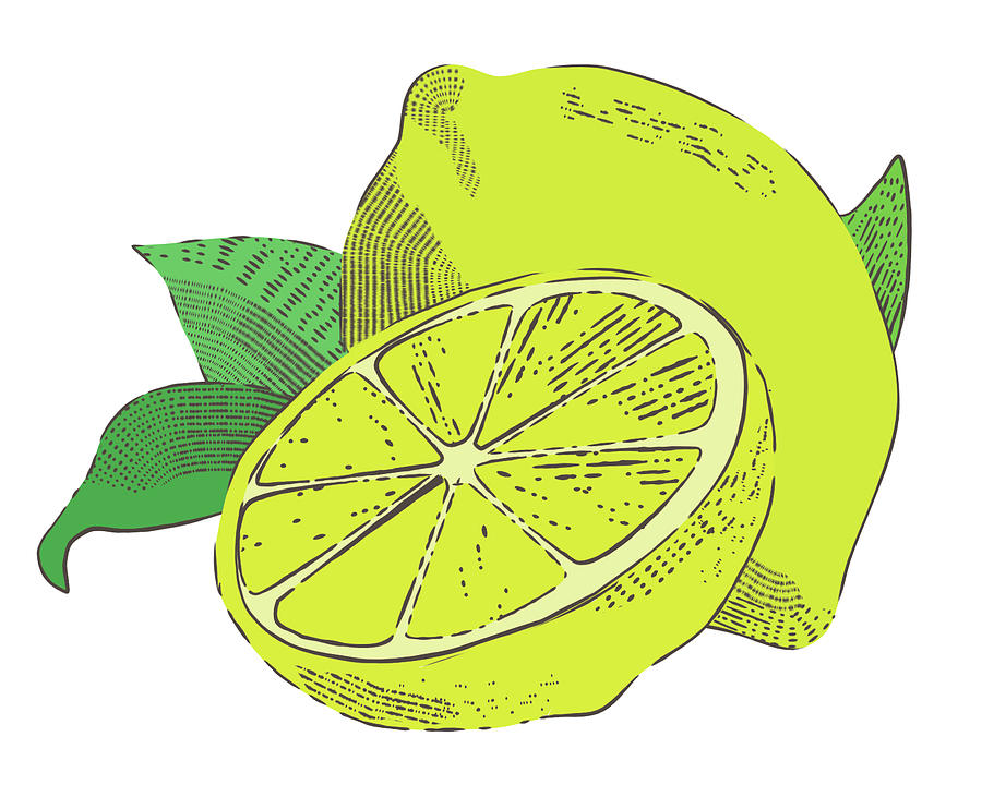 Lemon Zest Digital Art by Cynthia Westbrook