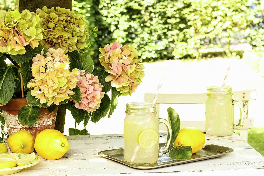 Lemonade On A Garden Table Photograph by Dees Kche