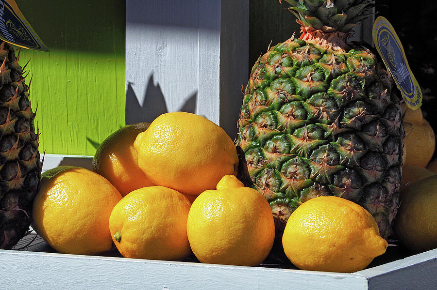 Lemons and Pineapples Together by Bill Swartwout Photography Lemons and Pineapples Together by Bill Swartwout Photography