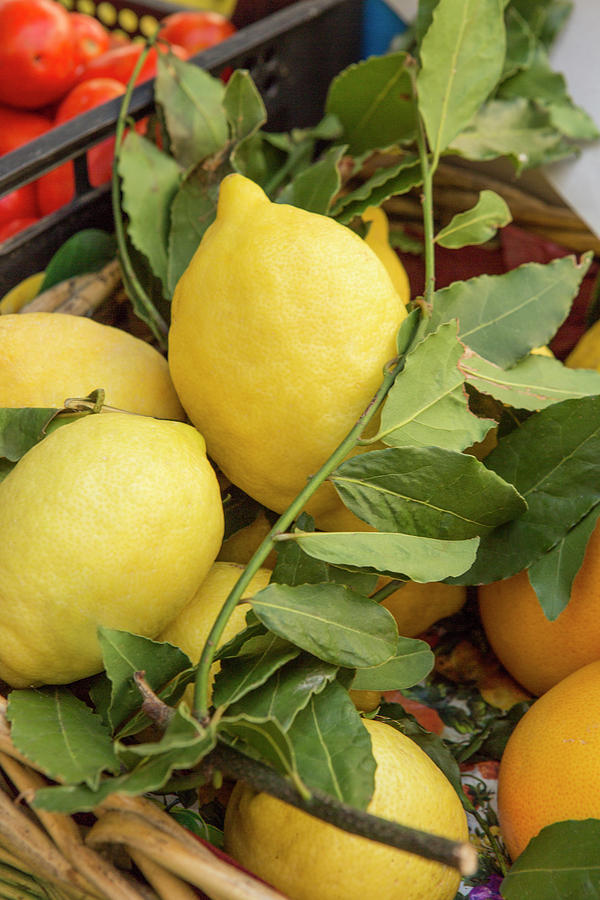 Lemon Photograph - Lemons Florence Market Stand by Iris Richardson