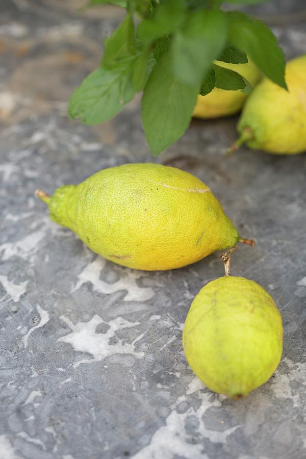 Lemons From A Tree On A Grey Marble Surface Photograph by Tina Engel