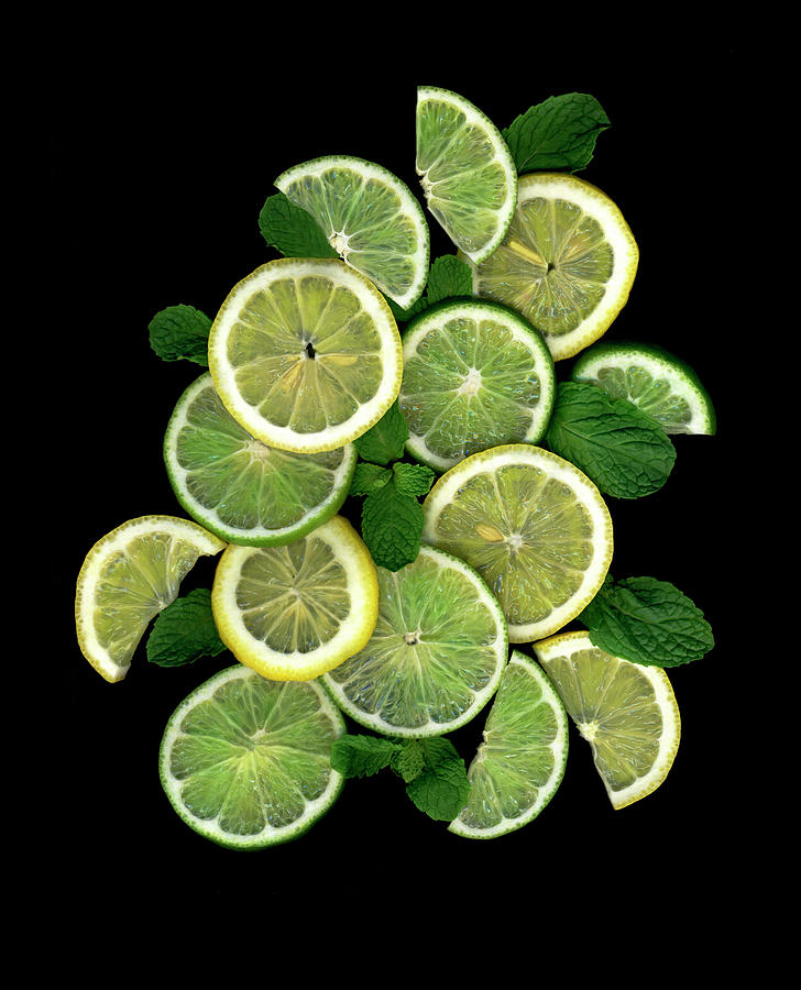 Lime Painting - Lemons, Limes & Mint by Susan S. Barmon