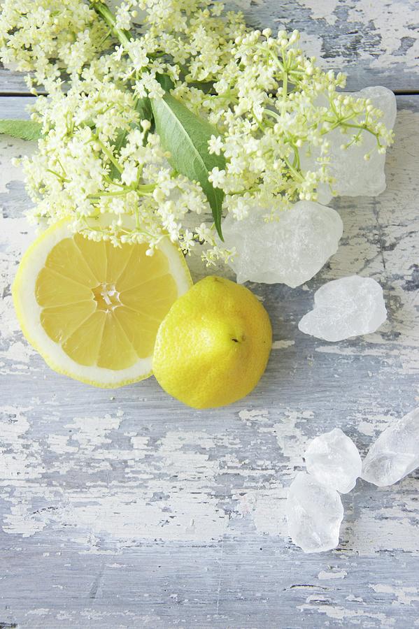 Lemons, Rock Sugar And Elderflowers Photograph by Martina Schindler