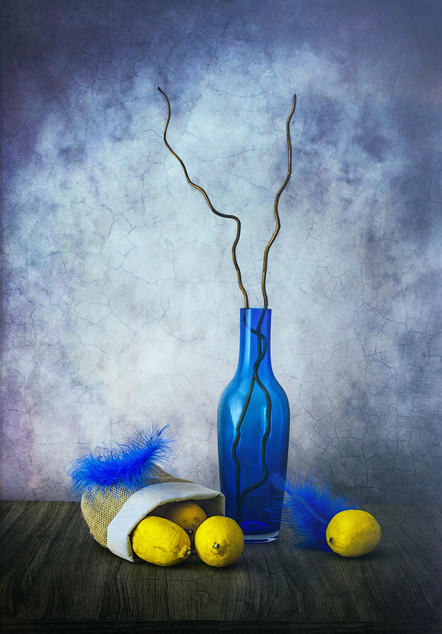 Lemons Photograph by Sophie Pan