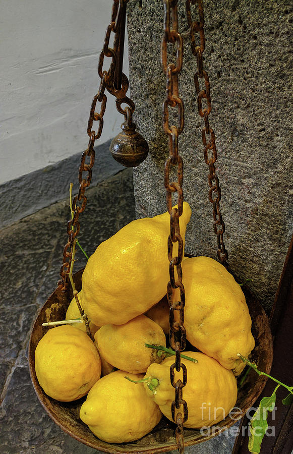 Lemons Photograph by Terri Brewster