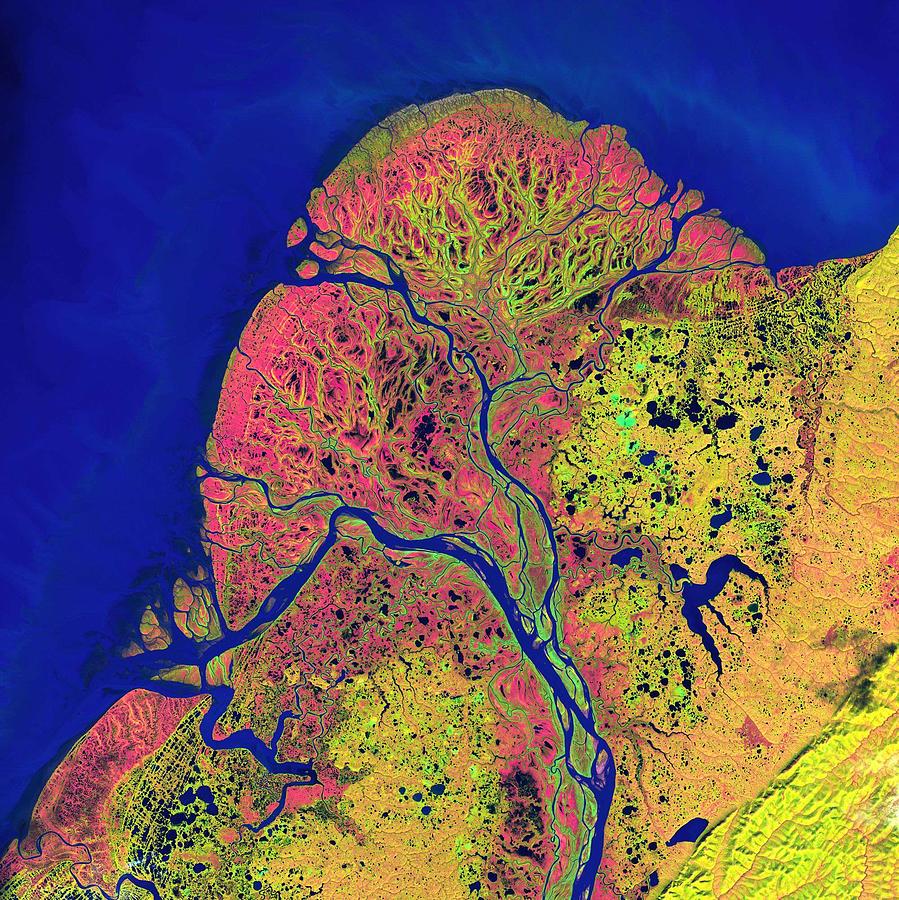 Lena River Delta nasa 2 Painting by Celestial Images