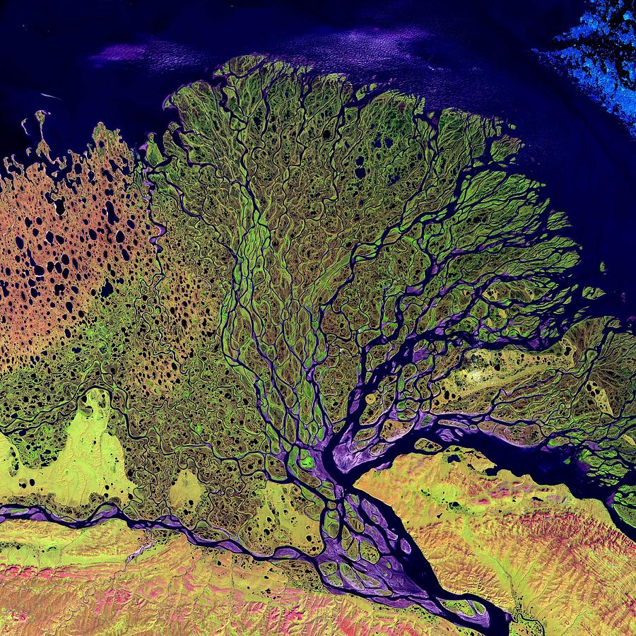 Lena River Delta nasa Painting by Celestial Images