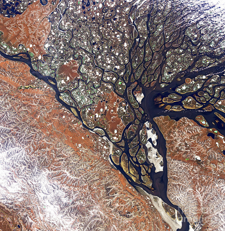 Lena River Delta Photograph by Nasa Earth Observatory,  Joshua Stevens/us Geological Survey/science Photo Library