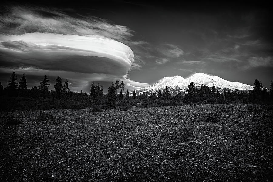 Lenticular Madness Photograph by Marnie Patchett