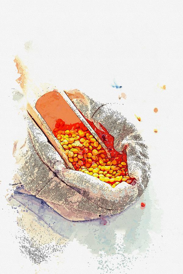 Lentils - watercolor by Ahmet Asar Painting by Celestial Images 