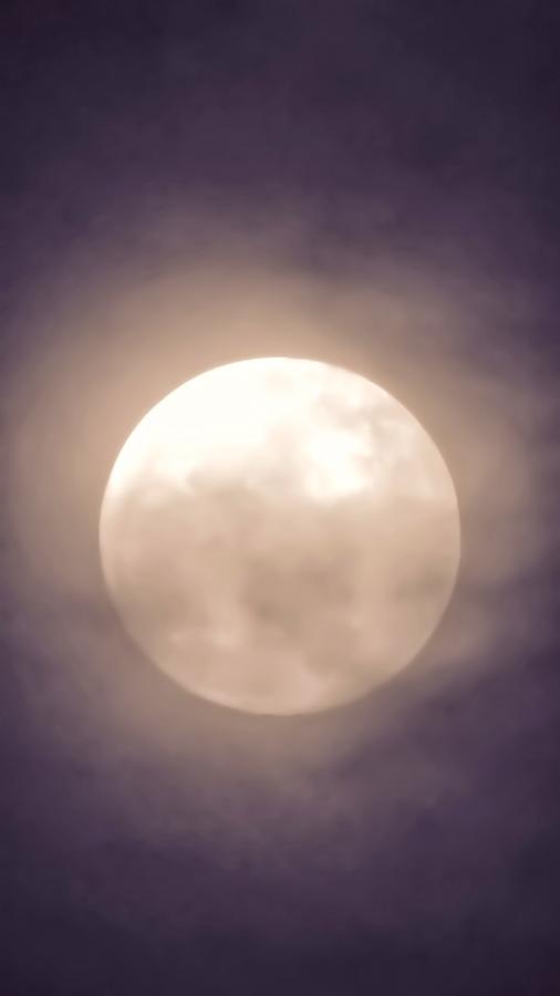 Leo Indigo-Blue Super Moon Photograph by Judy Kennedy