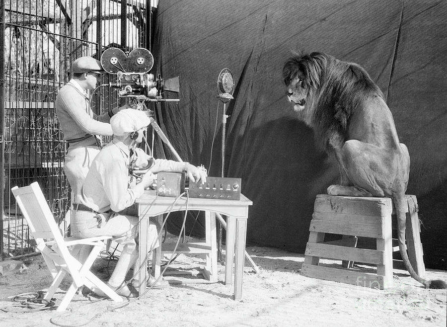 Leo The Lion Being Recorded Photograph by Bettmann