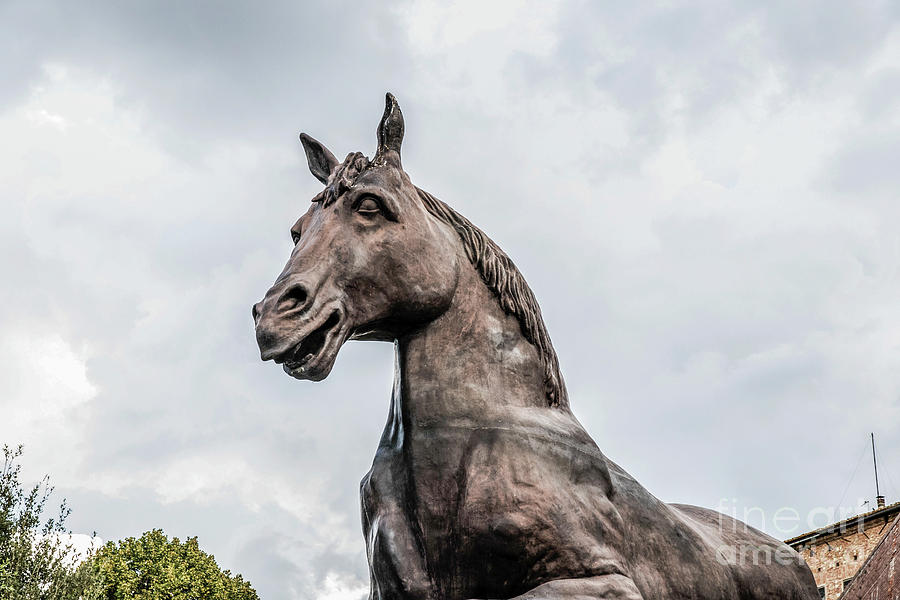 Leonardo Da Vinci horse statue a1 Photograph by Daniel Grats