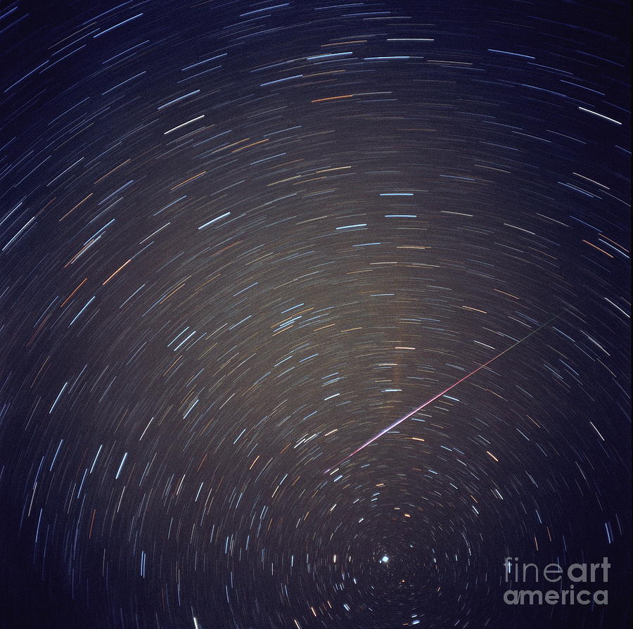 Leonid Meteor Photograph by Dan Schechter/science Photo Library