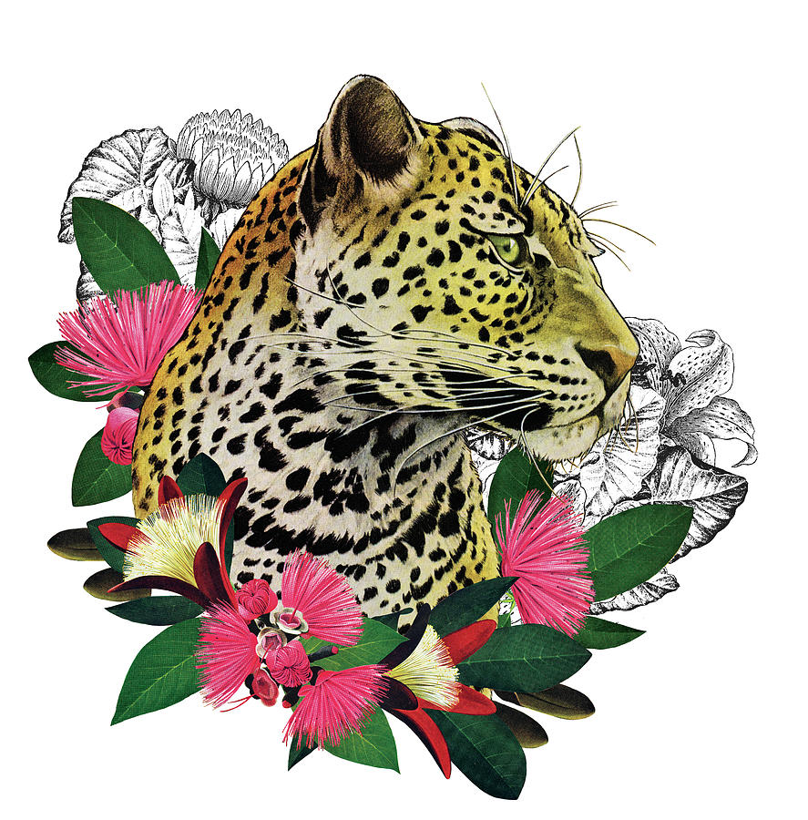 Leopard And Flowers Drawing by Jack Murray