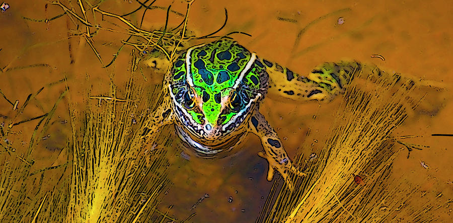 Leopard Frog Digital Art by Gene Bollig