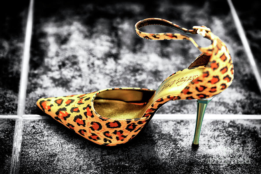 Leopard Fusion Stiletto Photograph by John Rizzuto