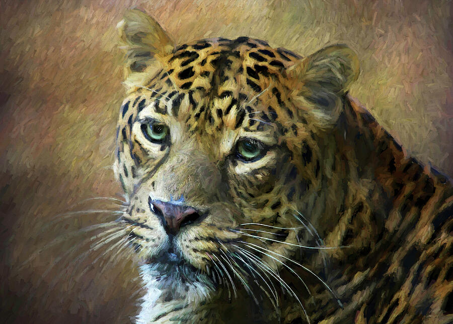 Leopard Portrait Digital Art by Judy Vincent