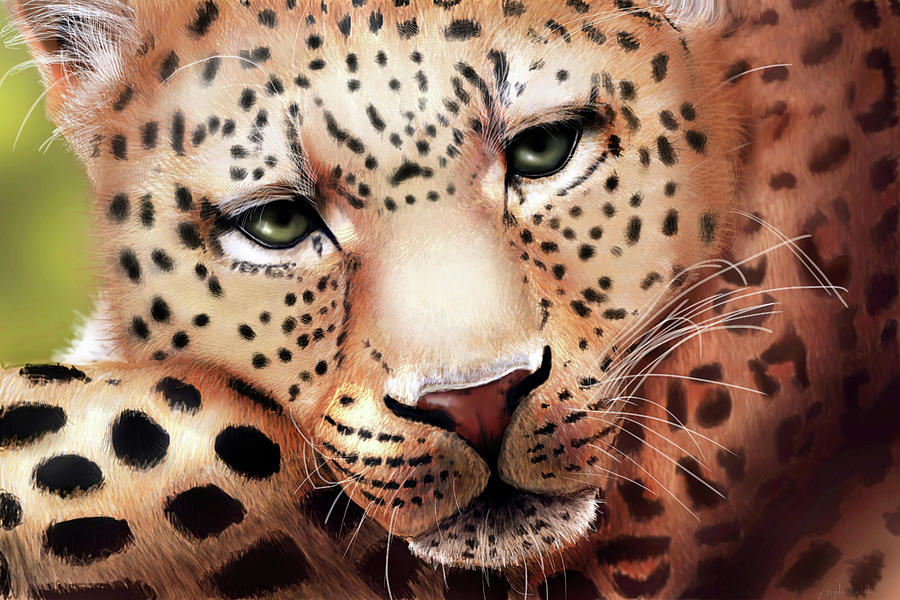 Leopard Resting Digital Art by Angela Murdock