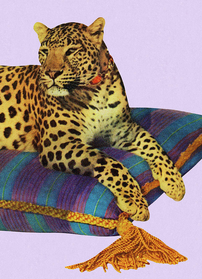 Vintage Drawing - Leopard Resting On Pillow by CSA Images
