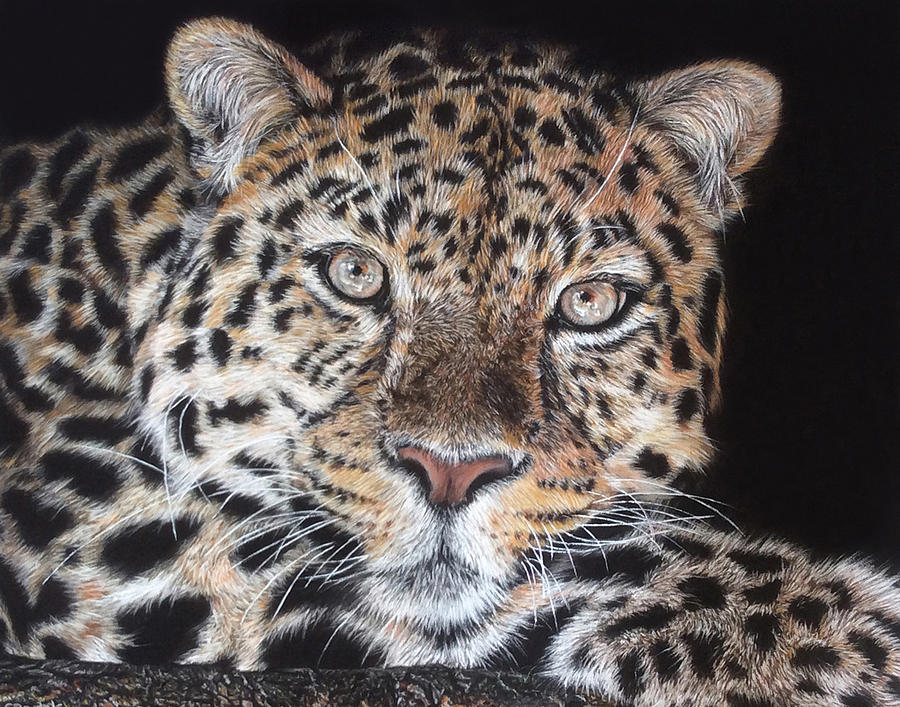 Leopard Pastel by Sandra Bartels