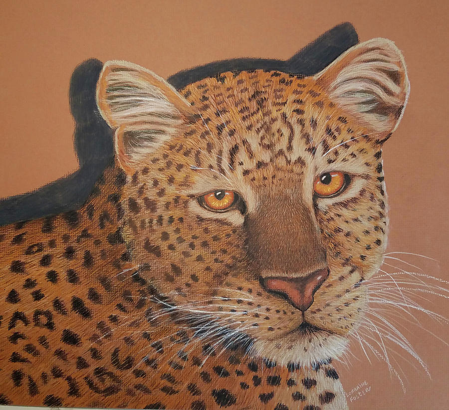 Leopards Glare Drawing by Lorraine Foster