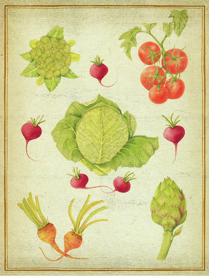 Vegetable Painting - Les Beaux L?gumes (the Beautiful Vegetables) Vintage by Deborah Kopka