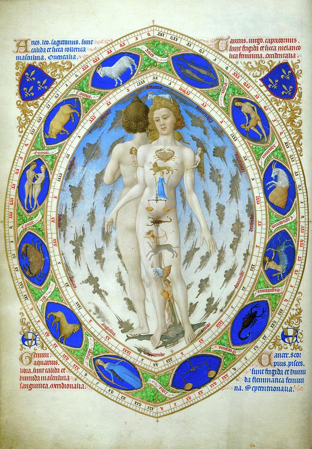 Les Tres Riches Heures du Duc de Berry, French 15th century, Zodiac and anatomy of man and woman. Painting by Album