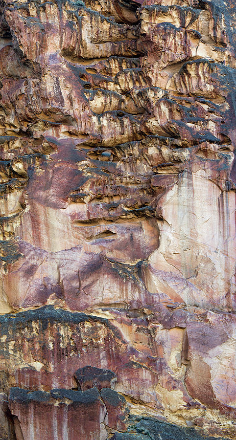Leslie Gulch Cliff Vertical Photograph by Leland D Howard