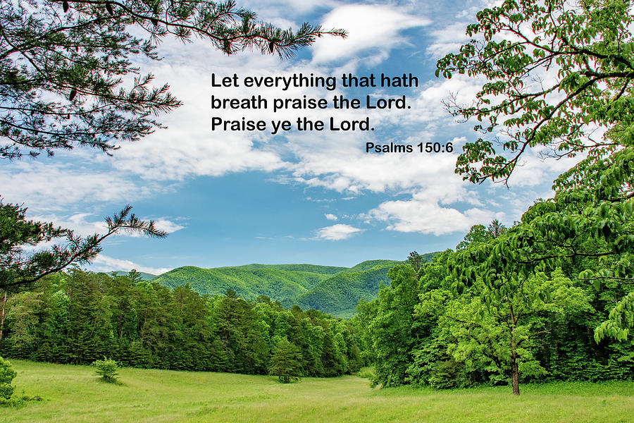 Let All Things Praise the Lord Photograph by Marcy Wielfaert